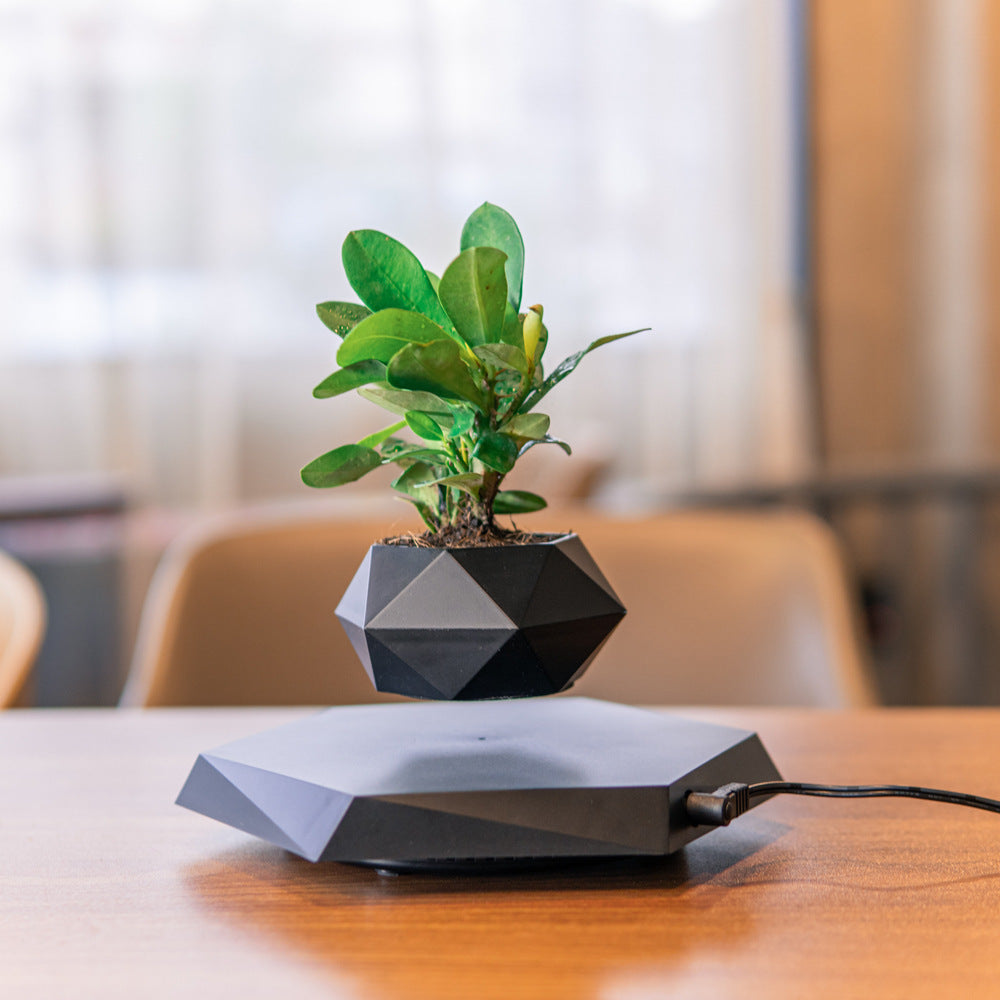 Floating Magnetic Levitating Flower Pot – Creative Home Desk Decor