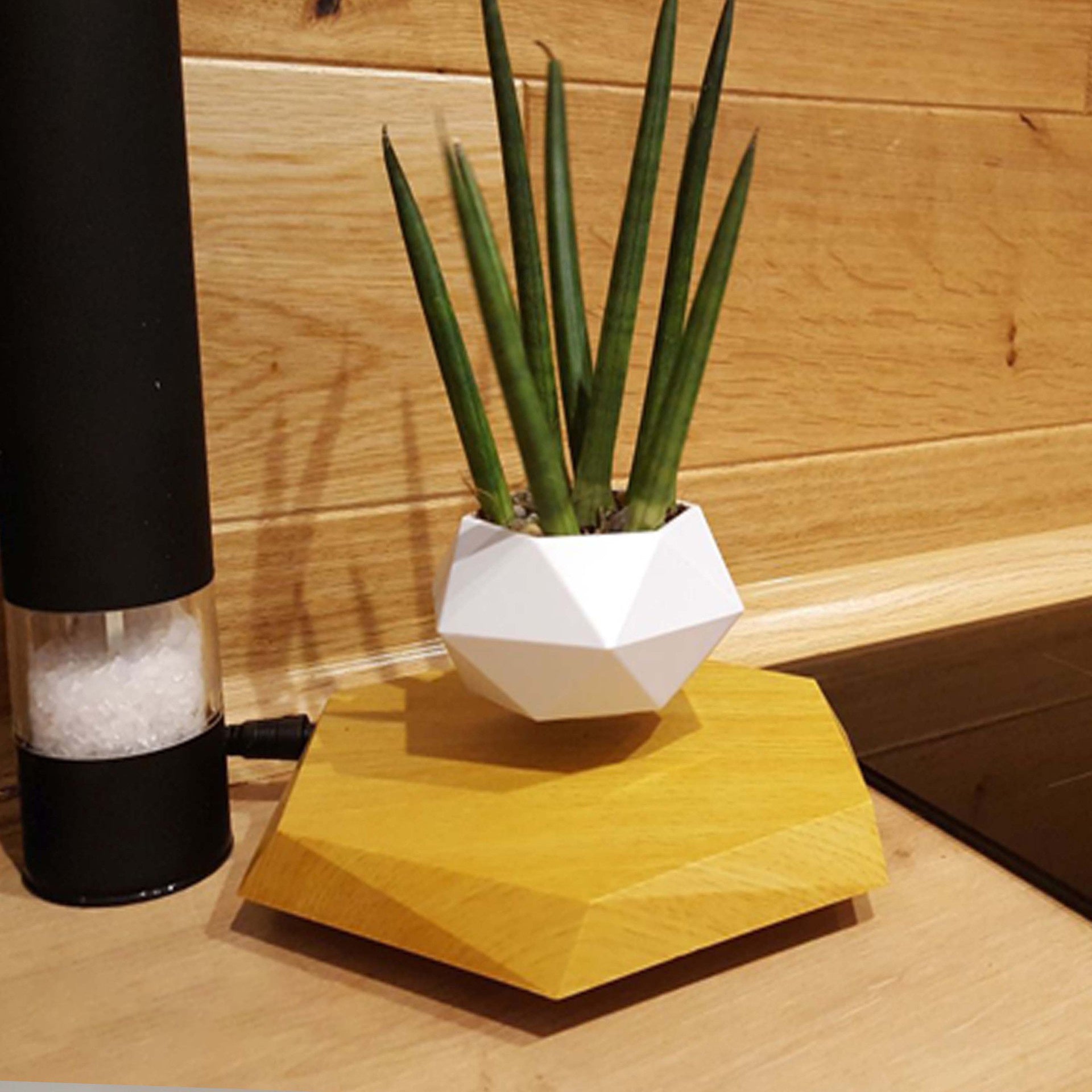 Floating Magnetic Levitating Flower Pot – Creative Home Desk Decor