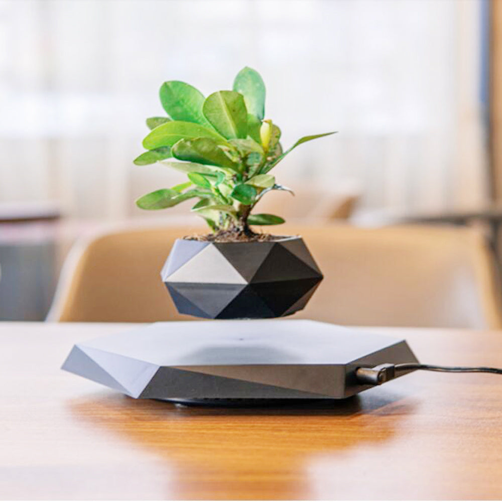 Floating Magnetic Levitating Flower Pot – Creative Home Desk Decor