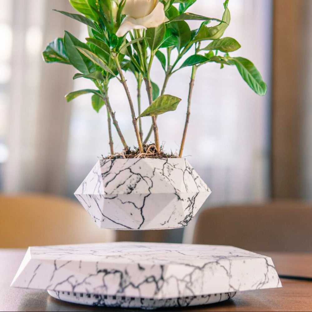 Floating Magnetic Levitating Flower Pot – Creative Home Desk Decor